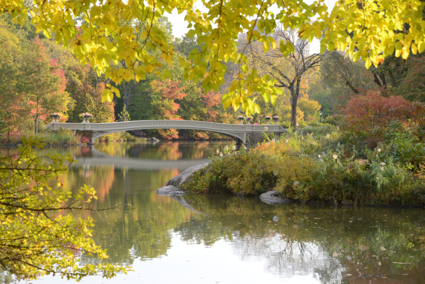 https www centralparknyc org