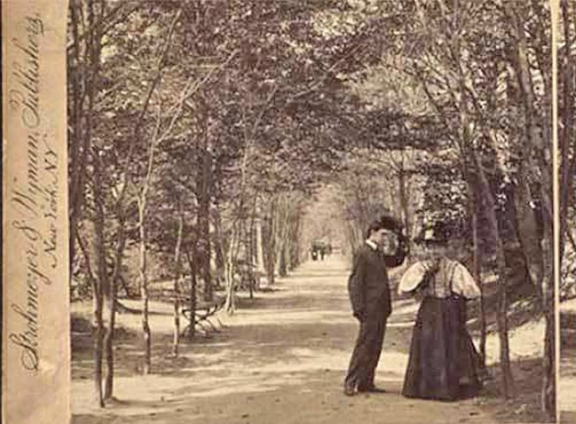 Lover's Lane
