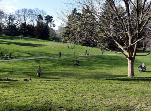 Social distancing in Central Park