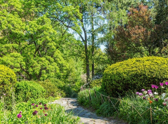 A lush path through Shakespeare Garden