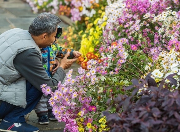 Conservatory Garden
