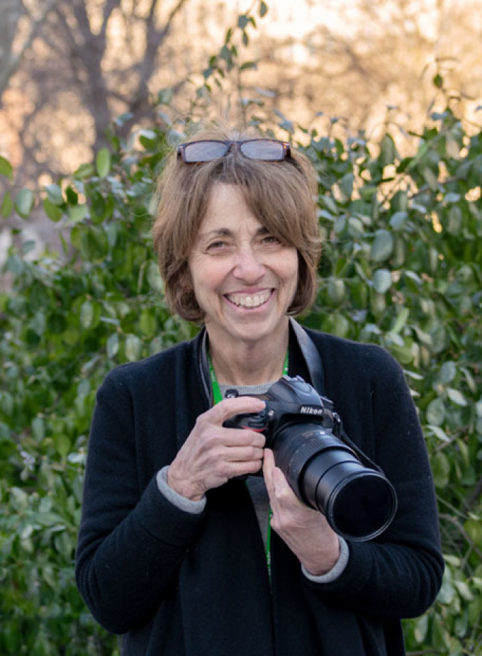 Sara Cedar Miller