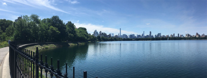 The Jackie Kennedy Onassis Reservoir