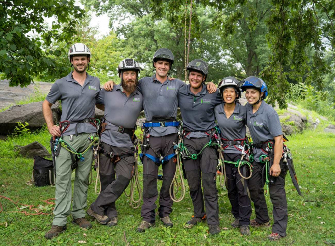 Central Park Conservancy arborists