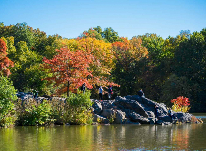 Foliage at Hernshead