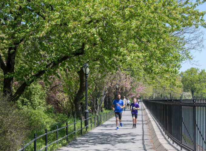 Runners circling the reservoir in spring