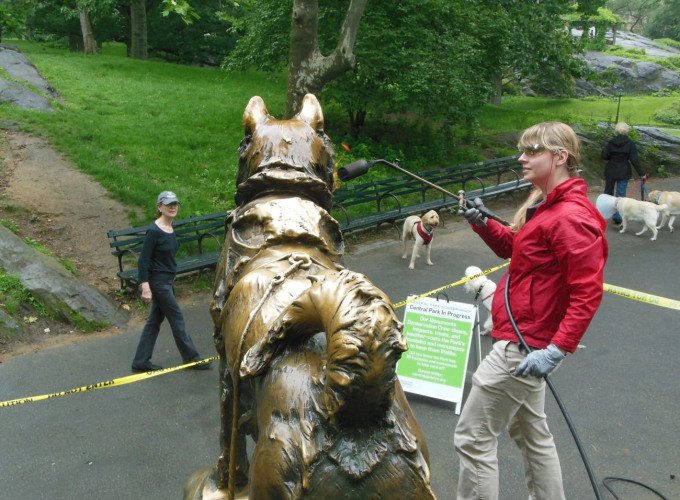 Restoring Balto's Protectve Coating