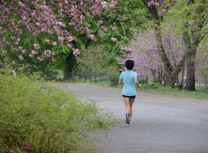 Jogging the Bridle Path