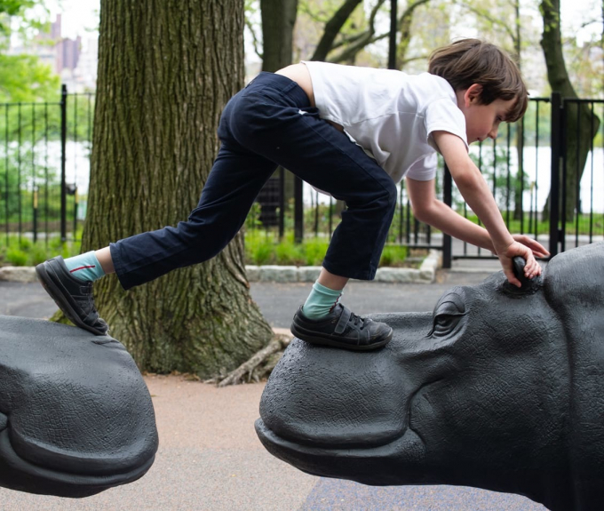 A boy climbs across two hippos