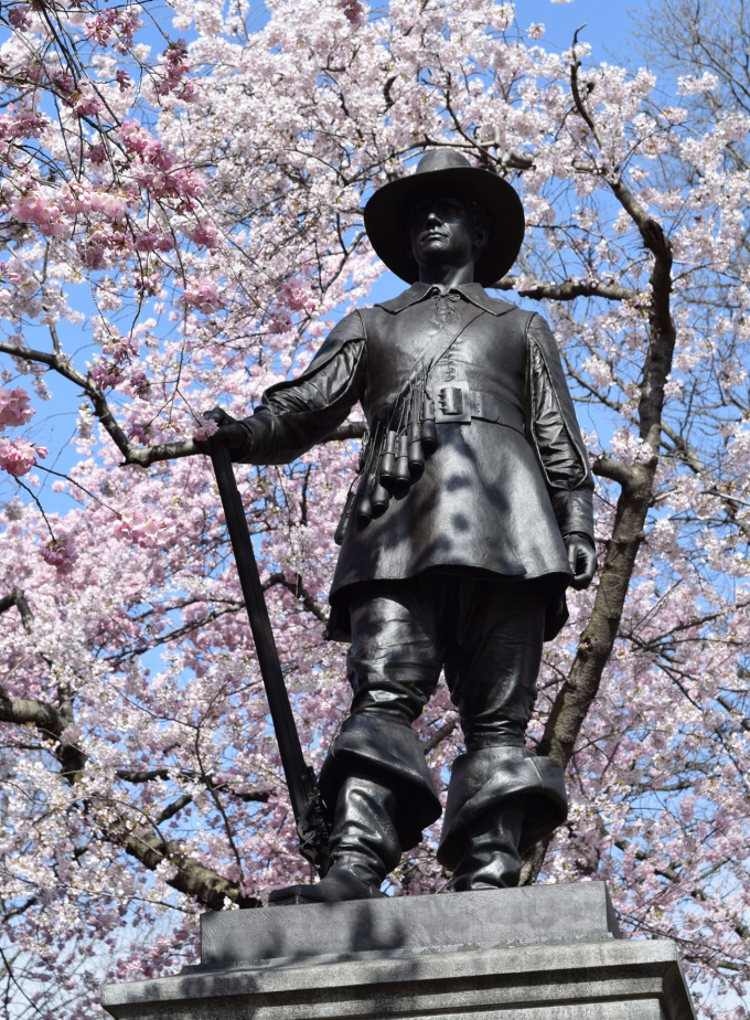Cherry Trees at Pilgrim Hill
