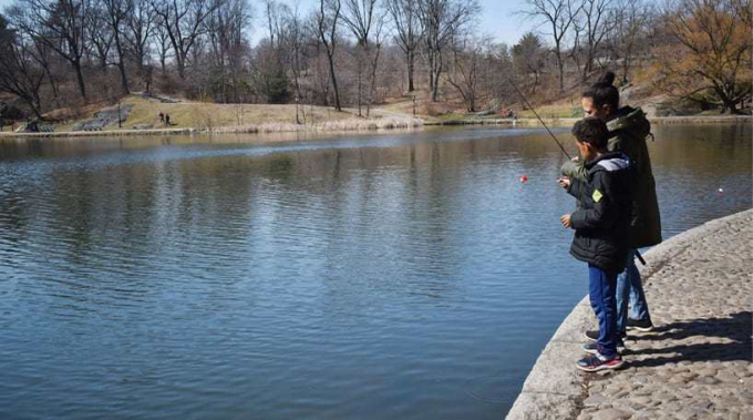 Catch-and-release fishing on the Harlem Meer