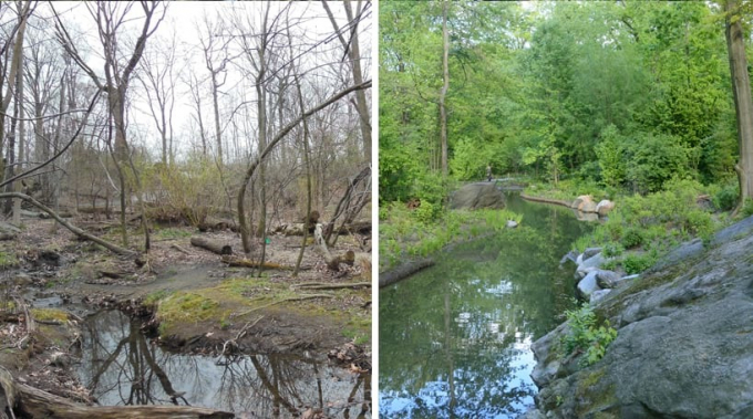 The Ravine, Before and After