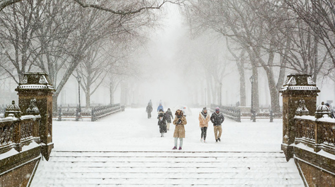 The Mall in winter