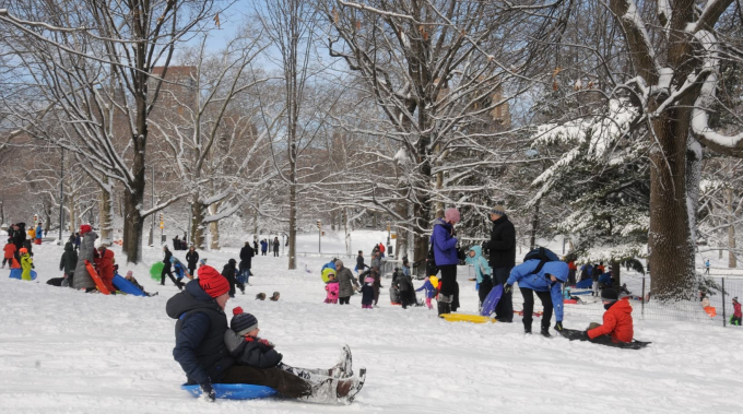 Sledding on Cedar Hill