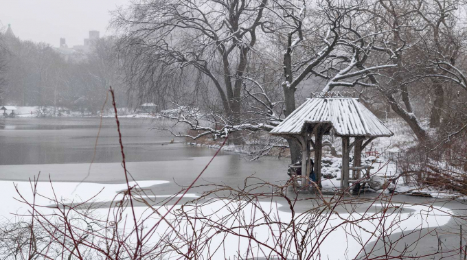 Wagner Cover in Winter