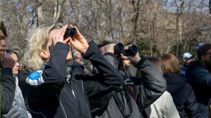 Birdwatchers in the Ramble