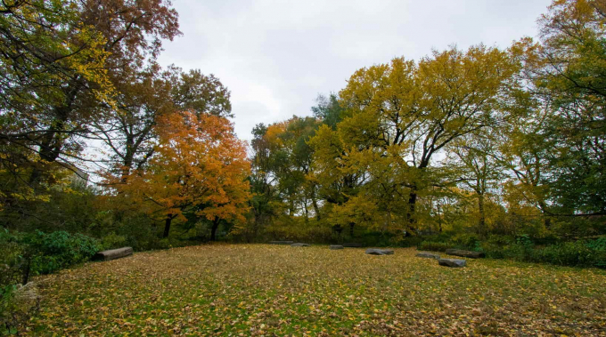 North End Landscape