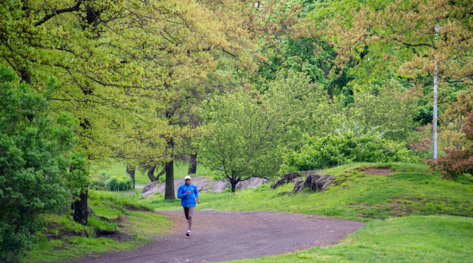 The Bridle Path