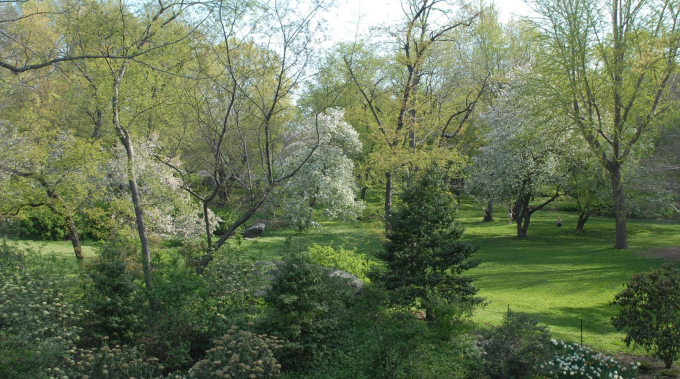 Seneca Village Site