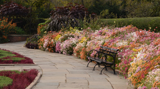 Foliage and Benches at Conservatory Garden