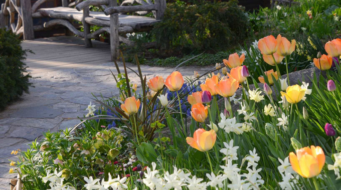Shakespeare Garden