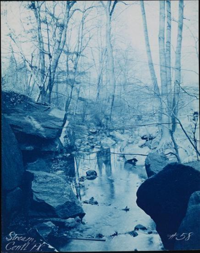 1890 photograph of a stream borderd by bare trees