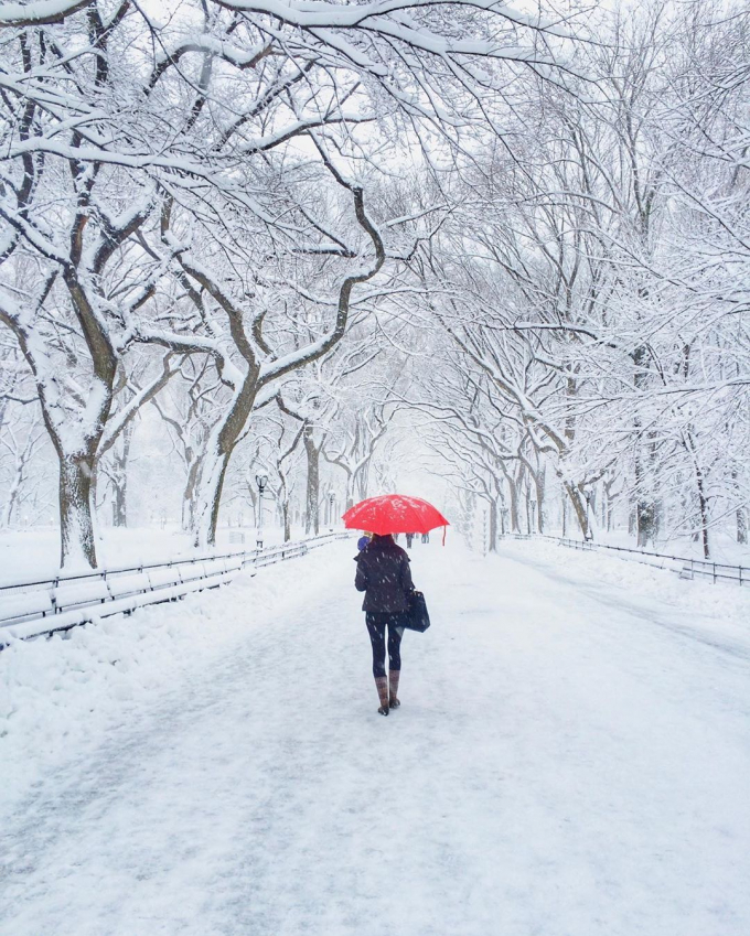 The Mall in a snowstorm