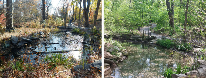 The Gill, before and after