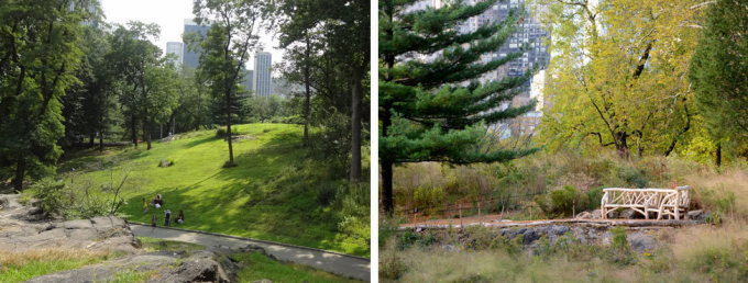 Dene Slope, before and after