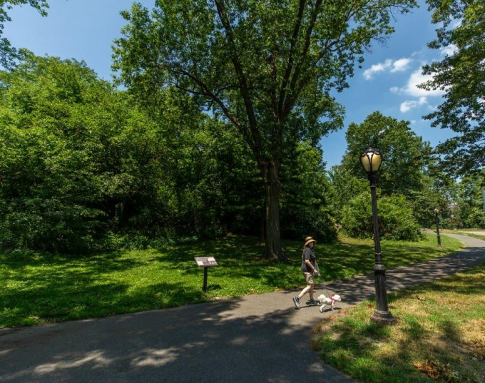 A sign marks one of the locations of the Seneca Village site.