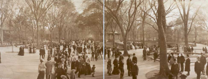 Stereograph of Central Park