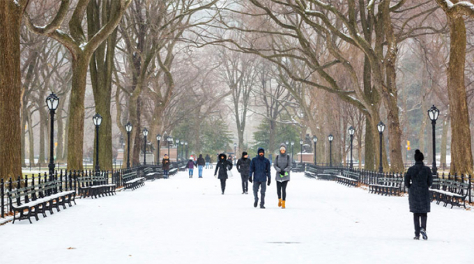 The Mall in winter
