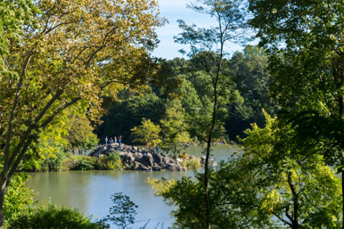Hernshead and the Lake