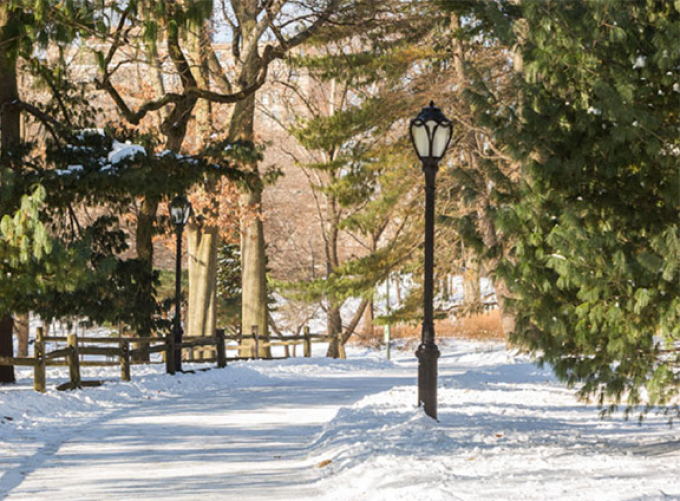 Typical Central Park Lamppost