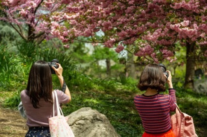 Two photographers capturing snapshots