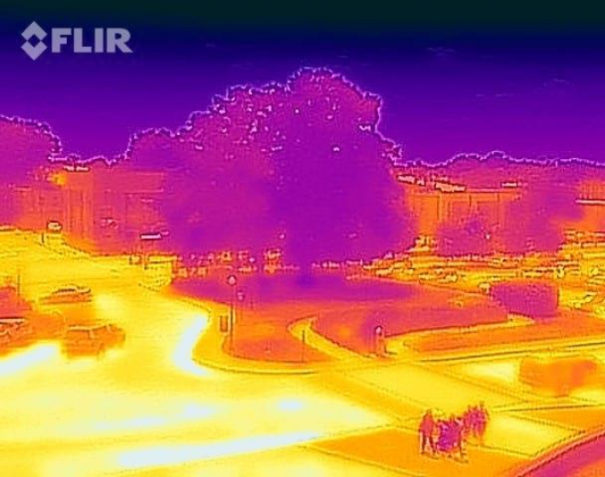 Heat map show dark, cool area of a shade tree