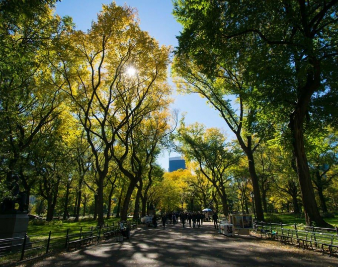A long look down the Mall, site of the upcoming monument honoring women's rights pioneers..