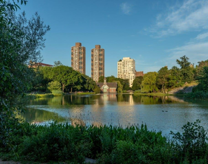 Harlem Meer in summer, with buildings in the background
