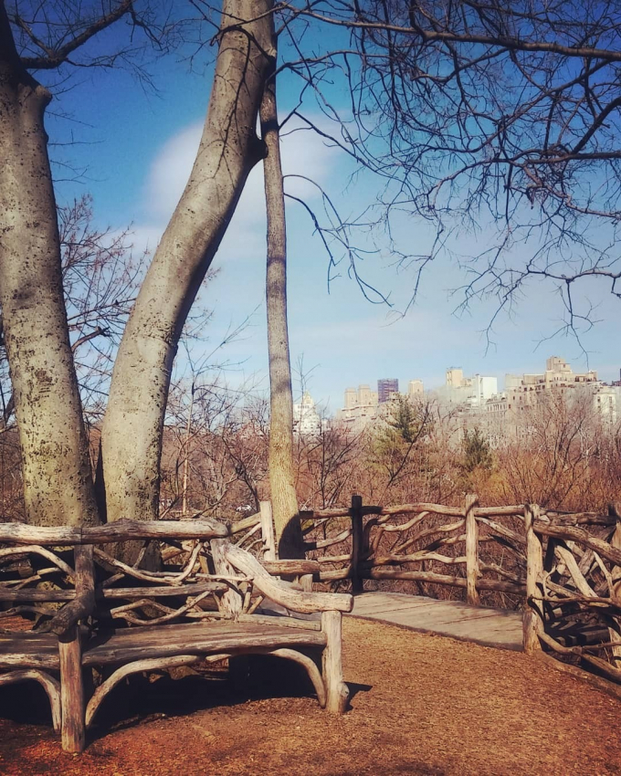 The Hallett Nature Sanctuary in winter