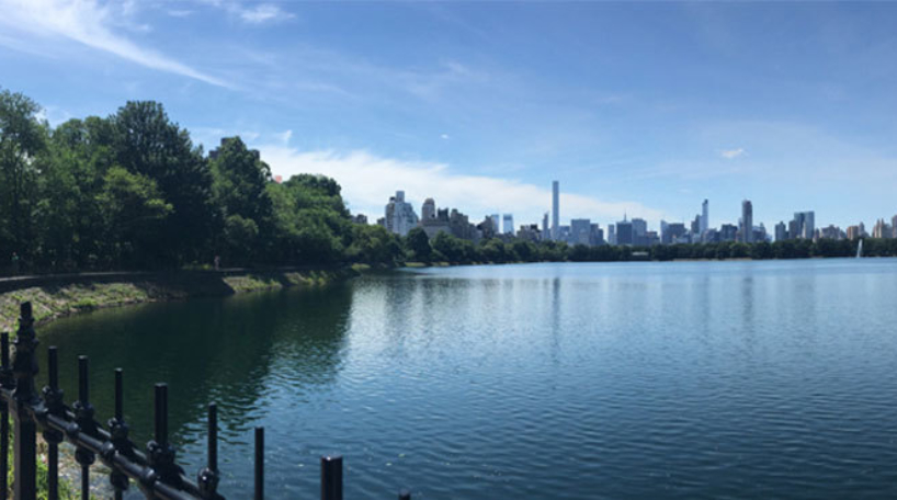 The Jackie Kennedy Onassis Reservoir