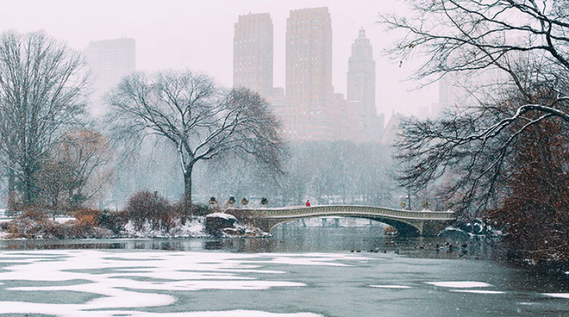 Bow Bridge in winter