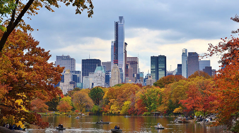 The Lake in the fall