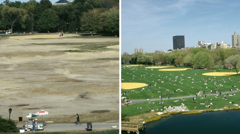 Great Lawn, Before and After