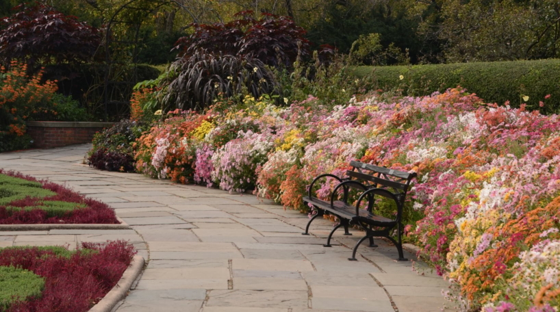 Foliage and Benches at Conservatory Garden