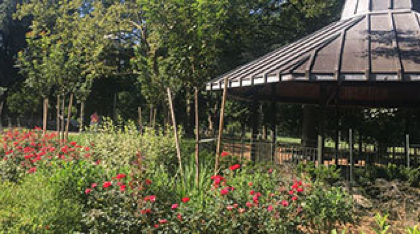 Community Parks Gardener Training