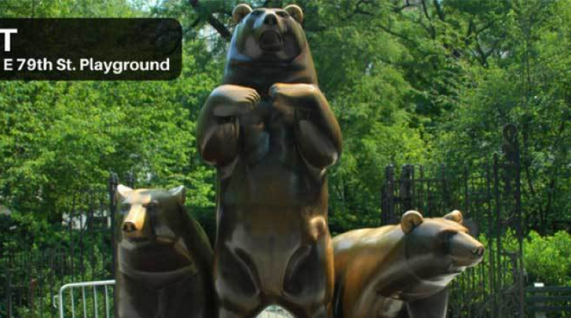 Group of Bears