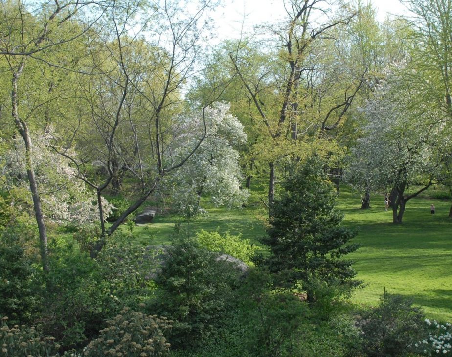 The Story of Seneca Village Central Park Conservancy