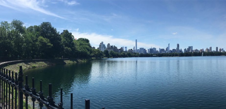 The Jackie Kennedy Onassis Reservoir