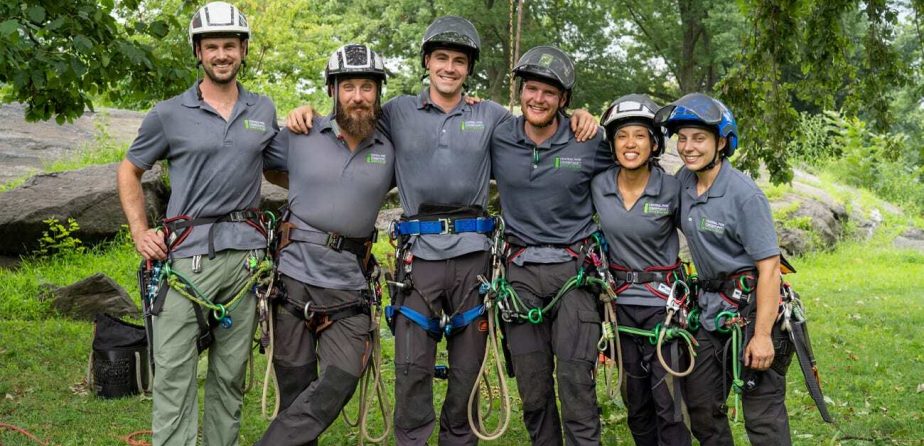 Central Park Conservancy arborists