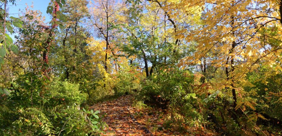Hallett Nature Sanctuary in the Fall